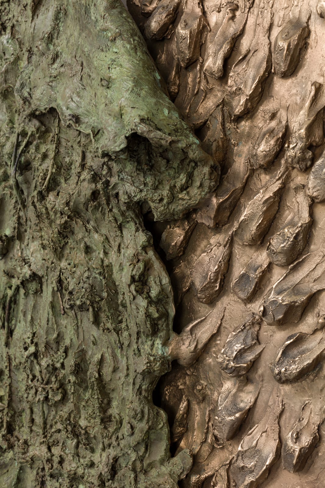 Lucy Skaer, Forest on Fire, 2020