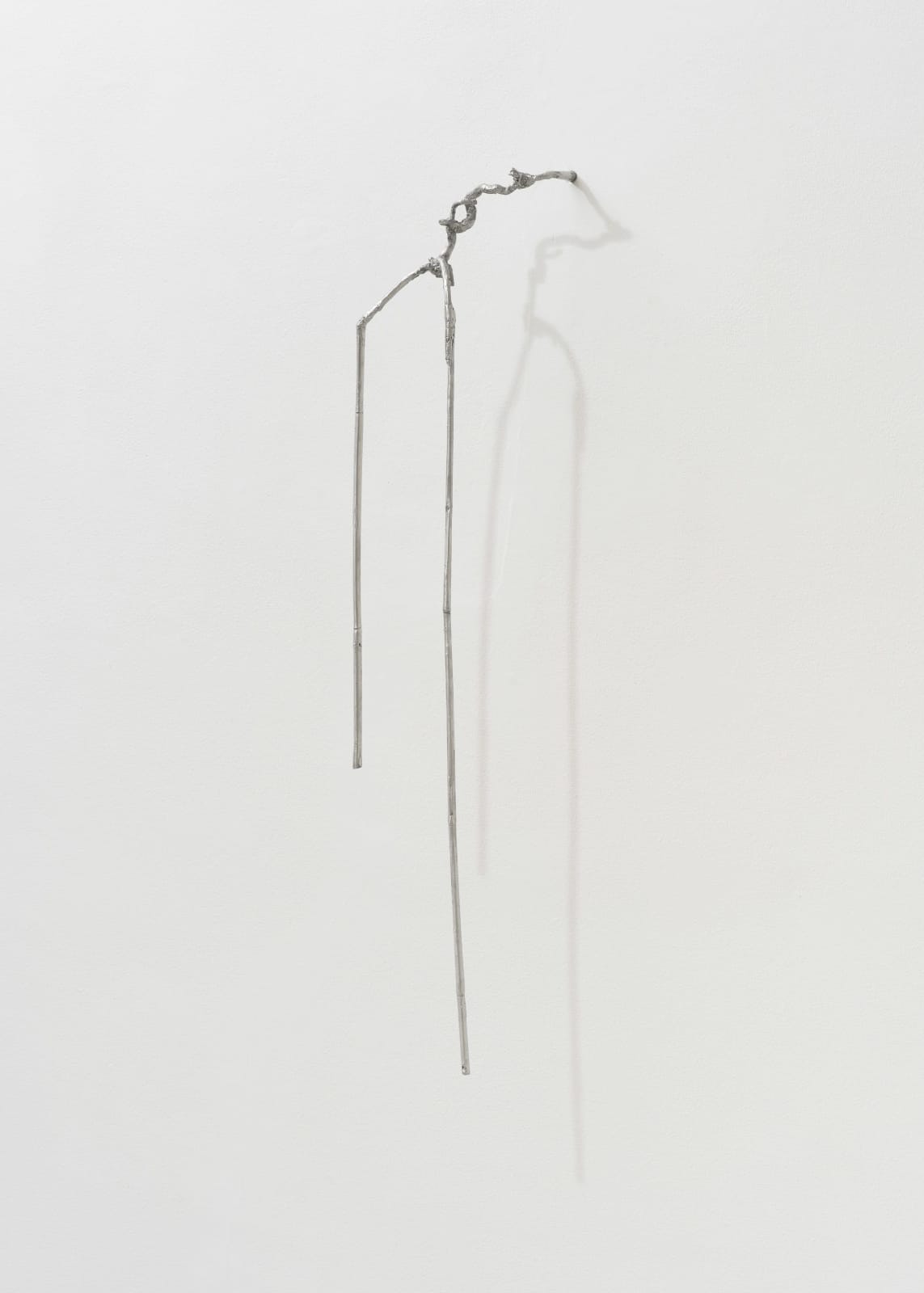 Saskia Noor van Imhoff, Overgrown, 2024