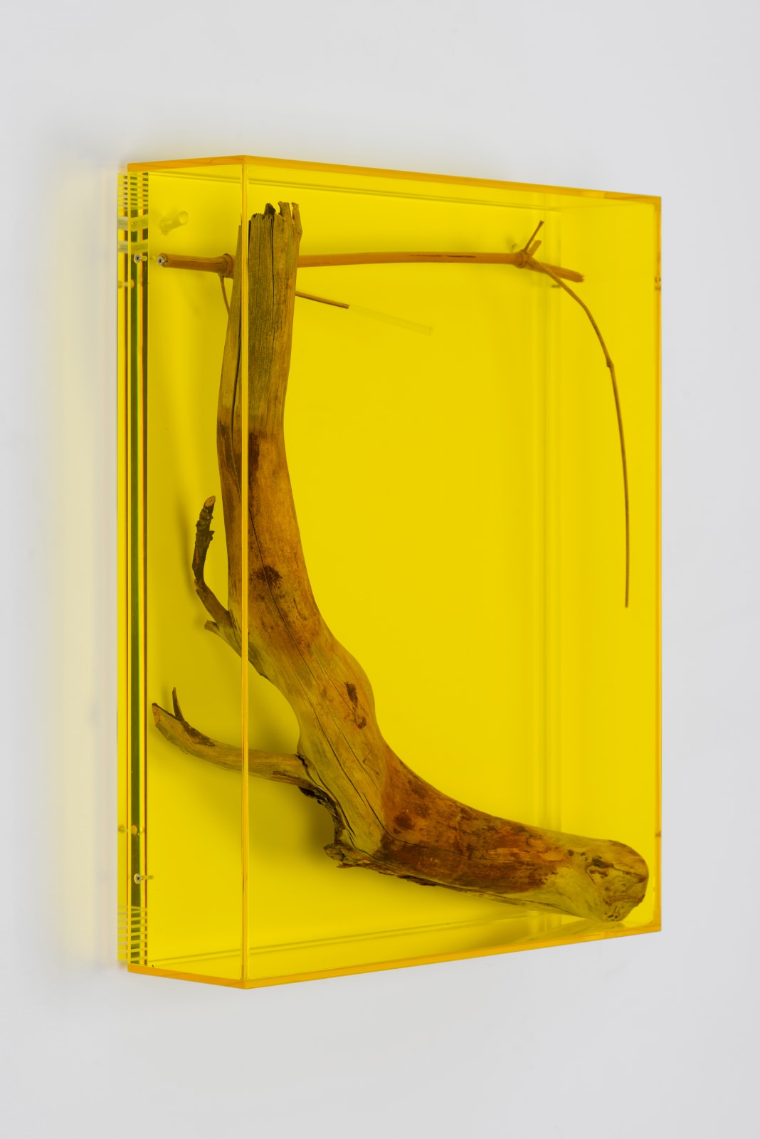 wall mounted sculptural piece consisting of Plexiglass, wood and bamboo twig