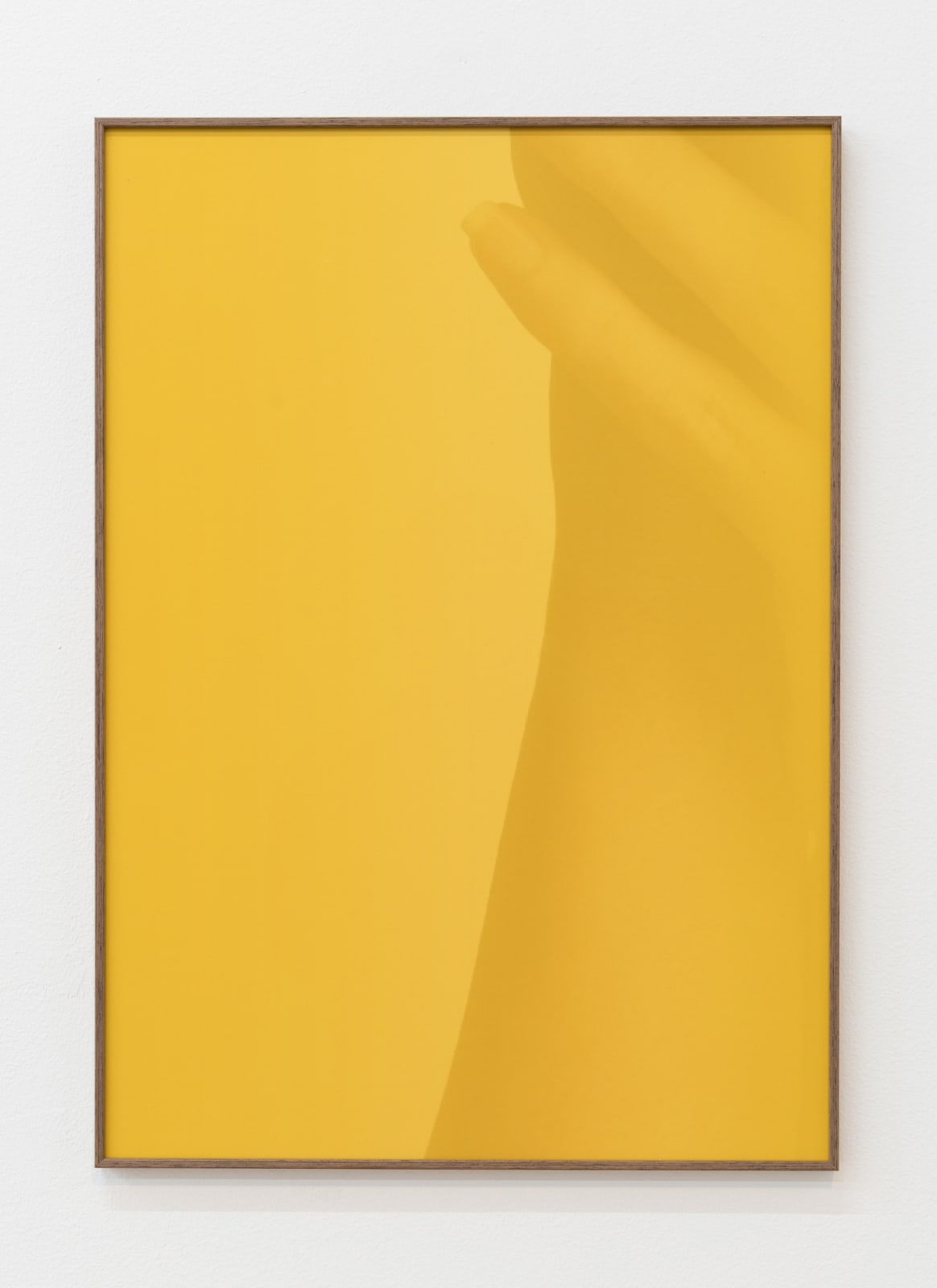 Saskia Noor van Imhoff, #+26.01, 2016