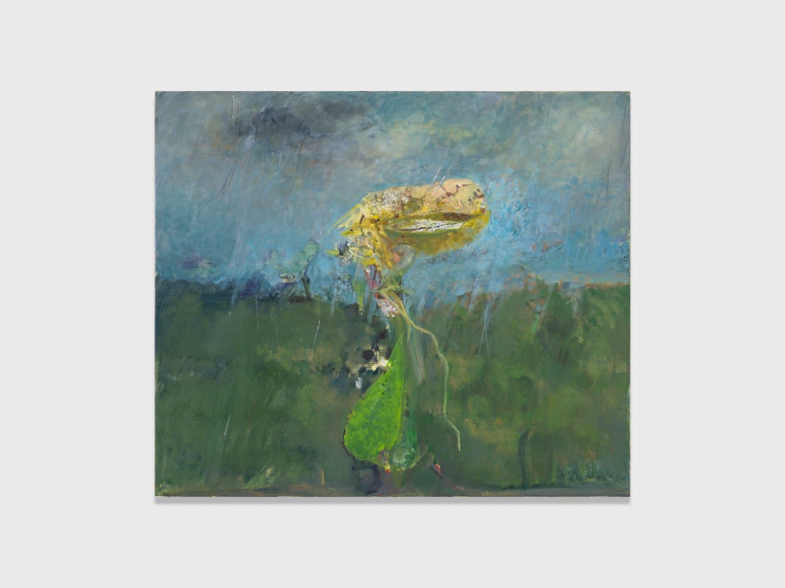 Shiwen Wang, Seed, 2025