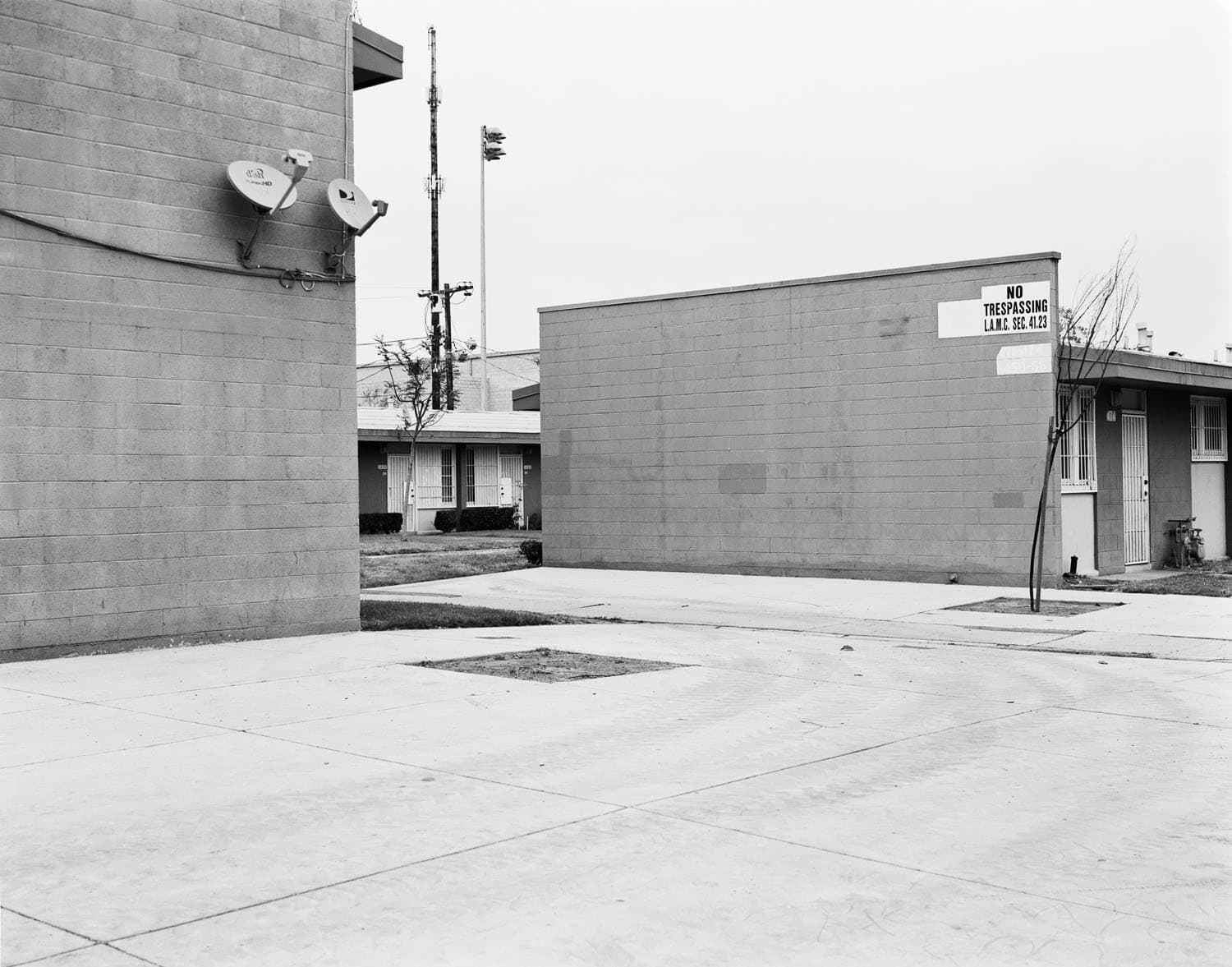 Dana Lixenberg, Untitled II, 2013