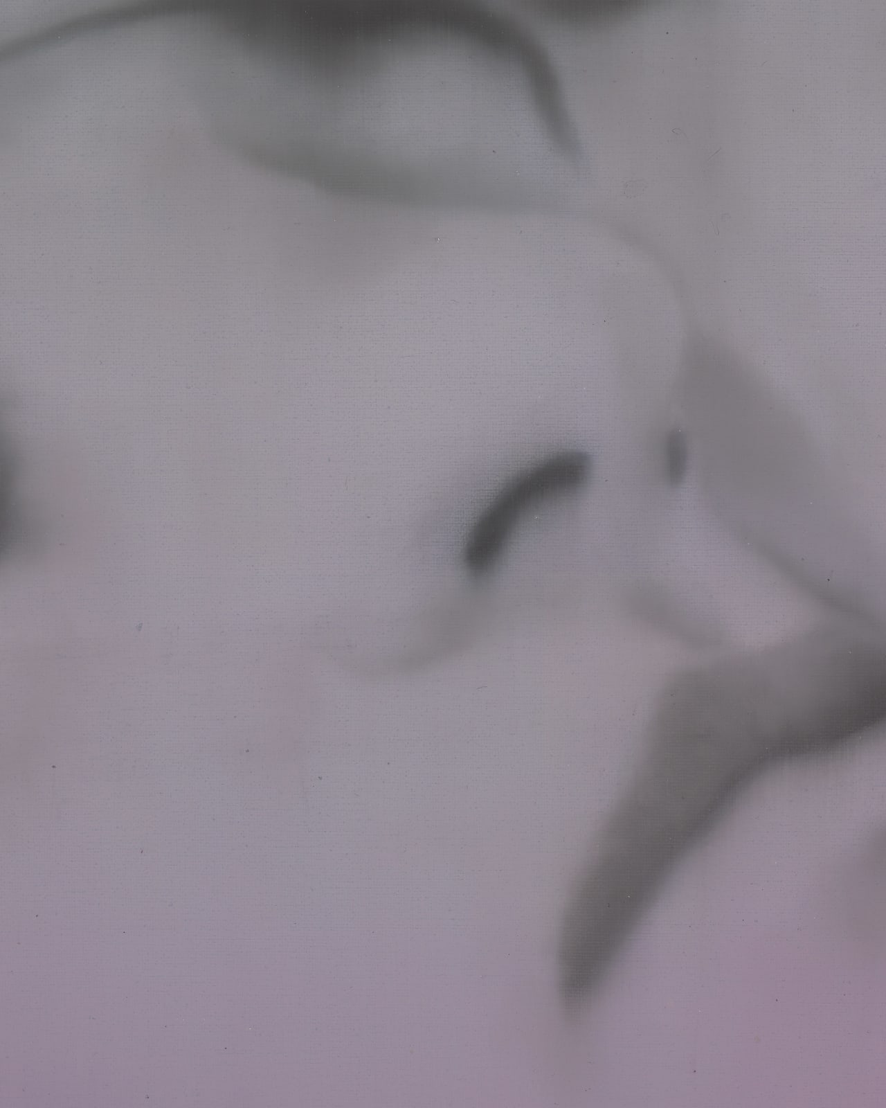 Ciarán Murphy, In 3, 2, 1 (1), 2026