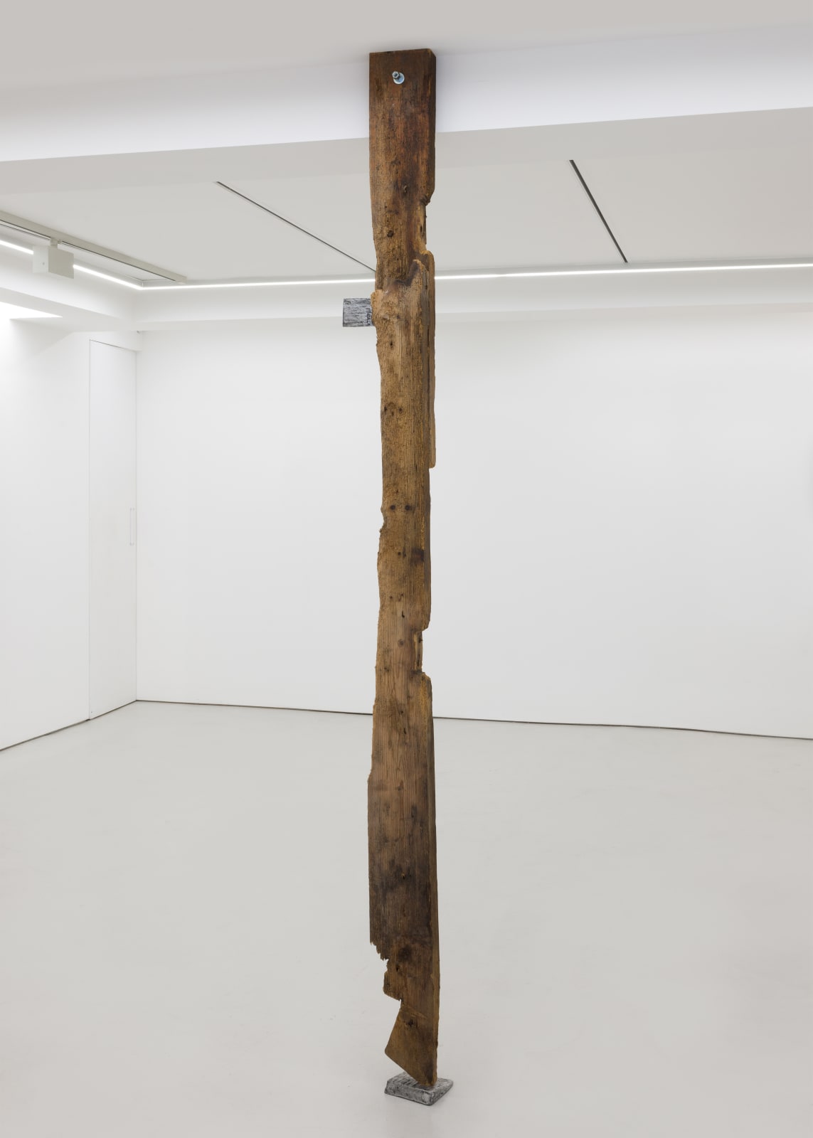 Saskia Noor van Imhoff, Heritage (Wood), 2024