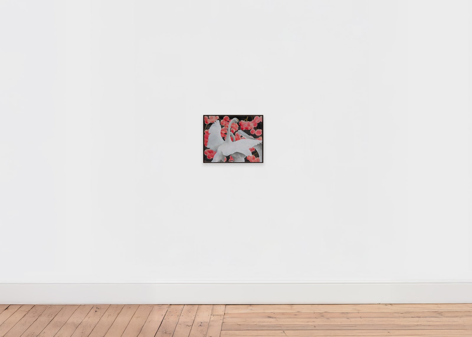 Ciarán Murphy, Squawk, 2026