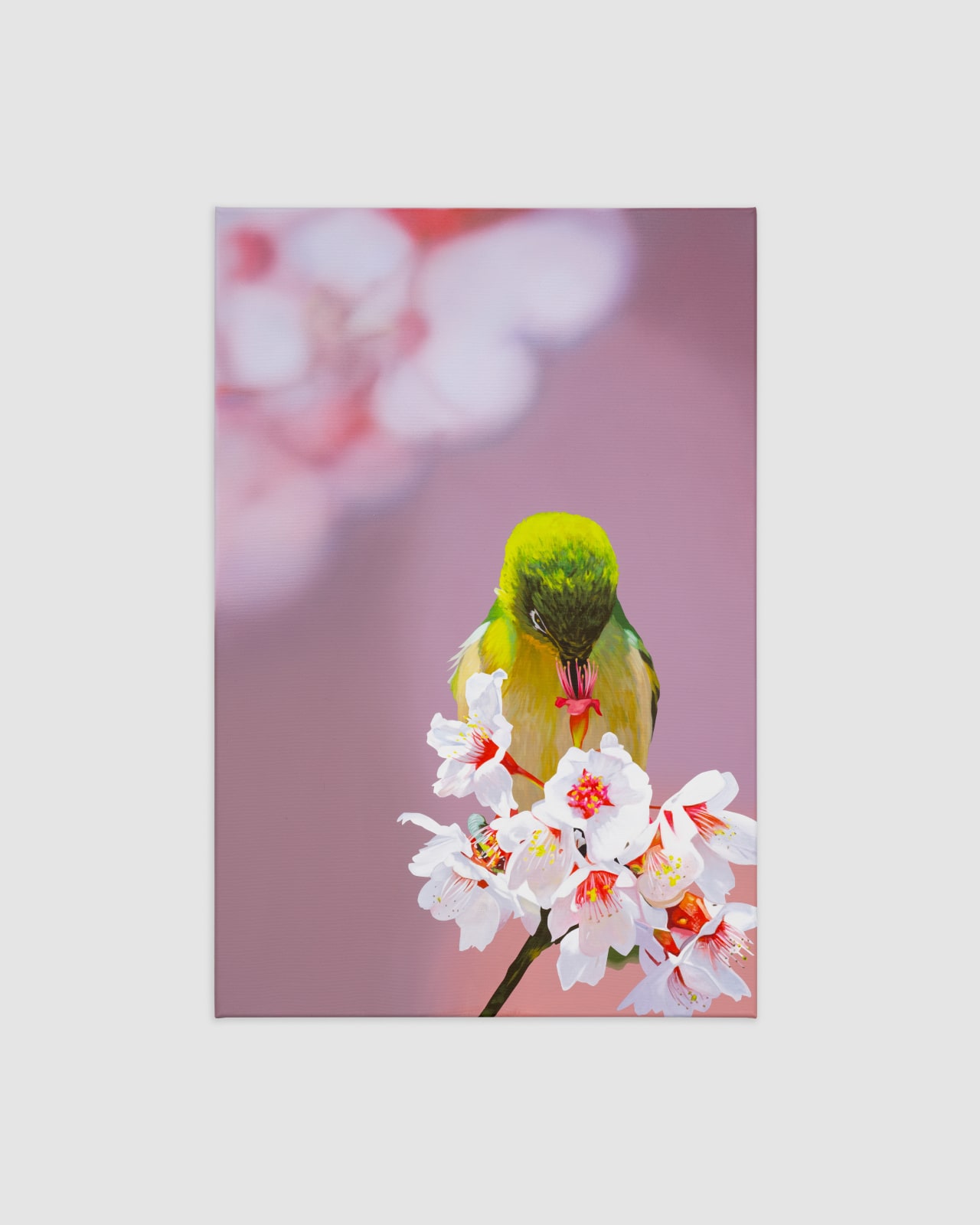 Alex Dordoy, The Flowers and the Hours (Interlude), 2024