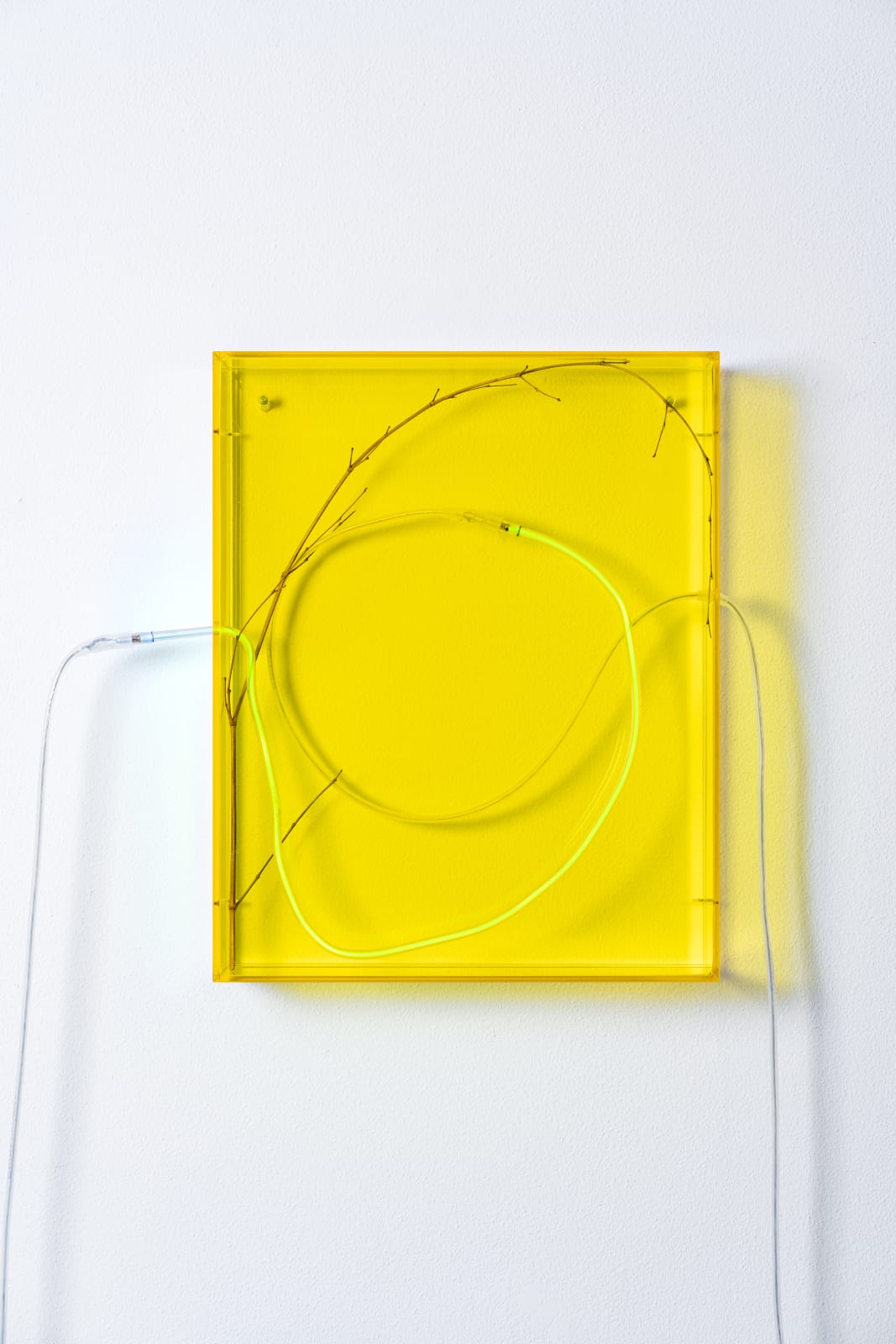 wall mounted sculptural piece made of plexiglass, neon, bamboo twig