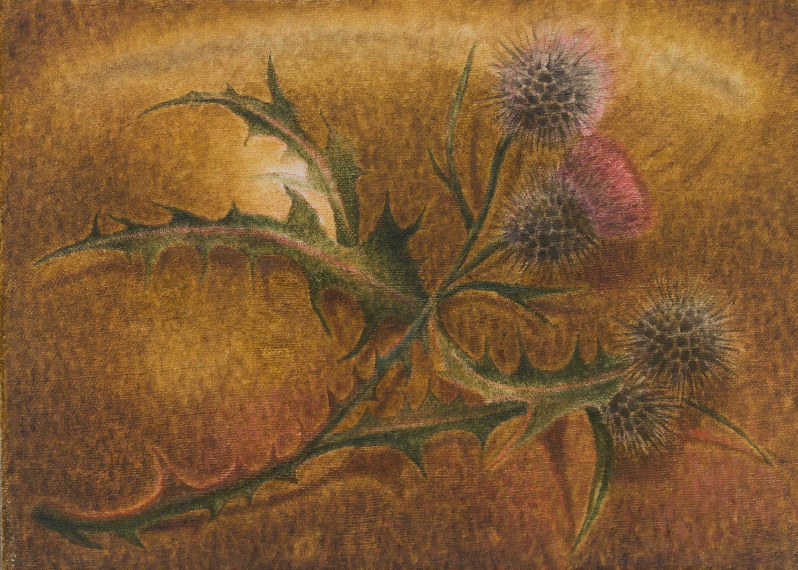 Rafał Topolewski, Daze, 2024