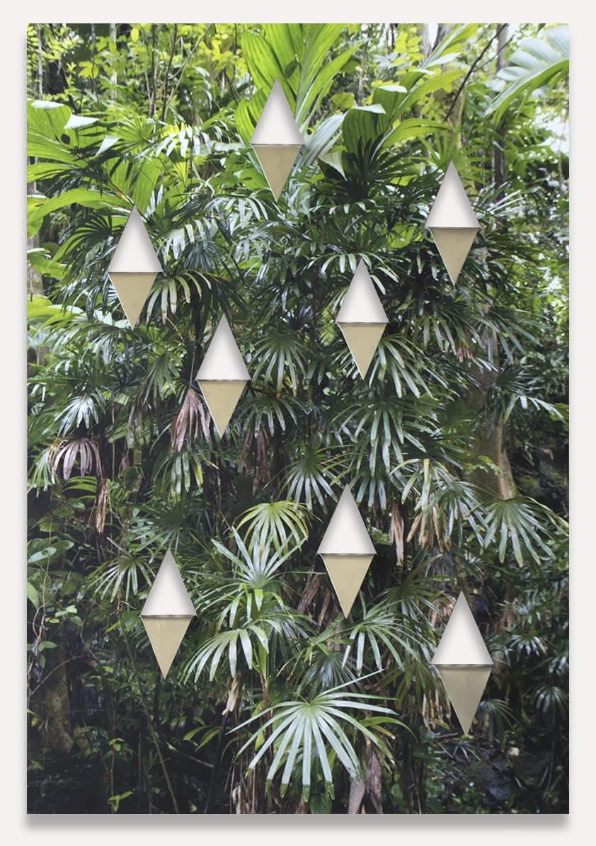 Archival Inkjet print, aluminum of plants with 8 rombus