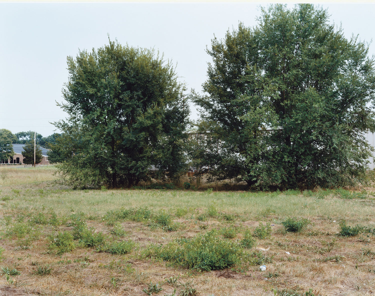 Dana Lixenberg, Untitled I, 2005