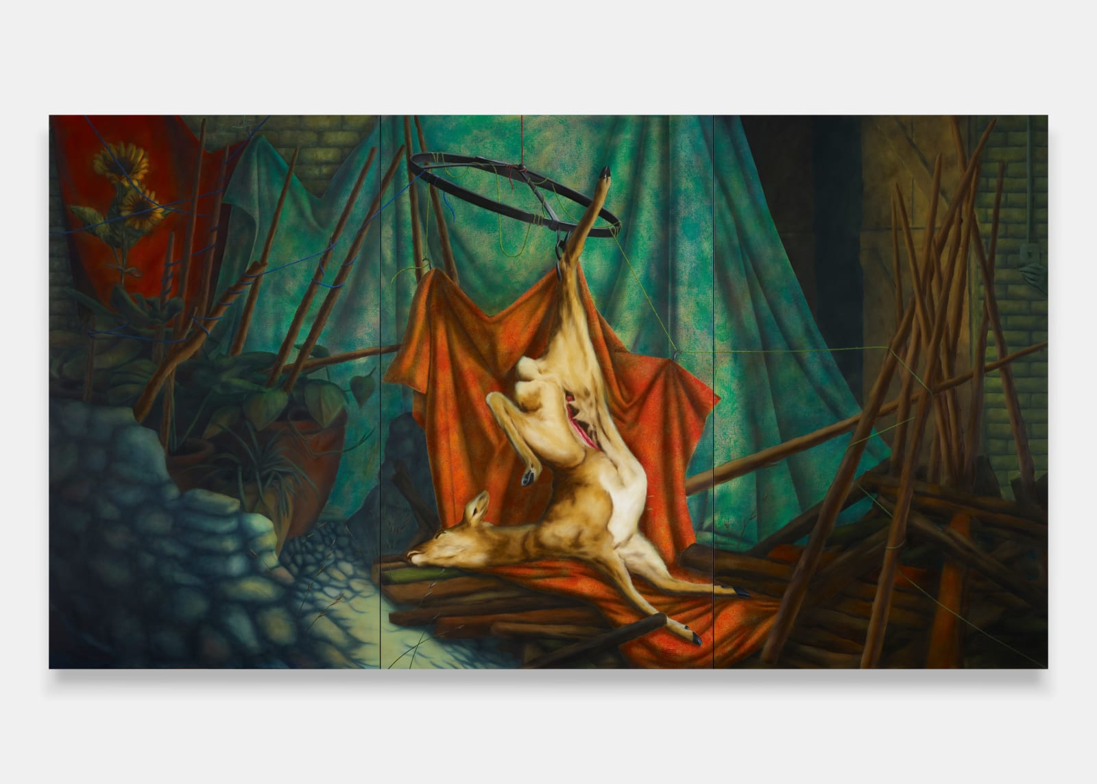 Tommy Harrison, Web, 2023