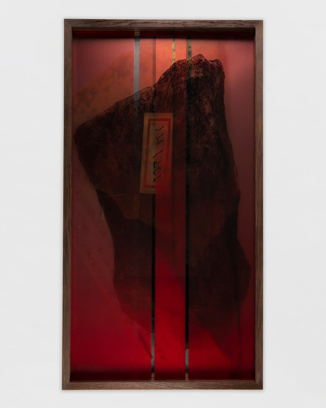 Saskia Noor van Imhoff, Torpor, 2025