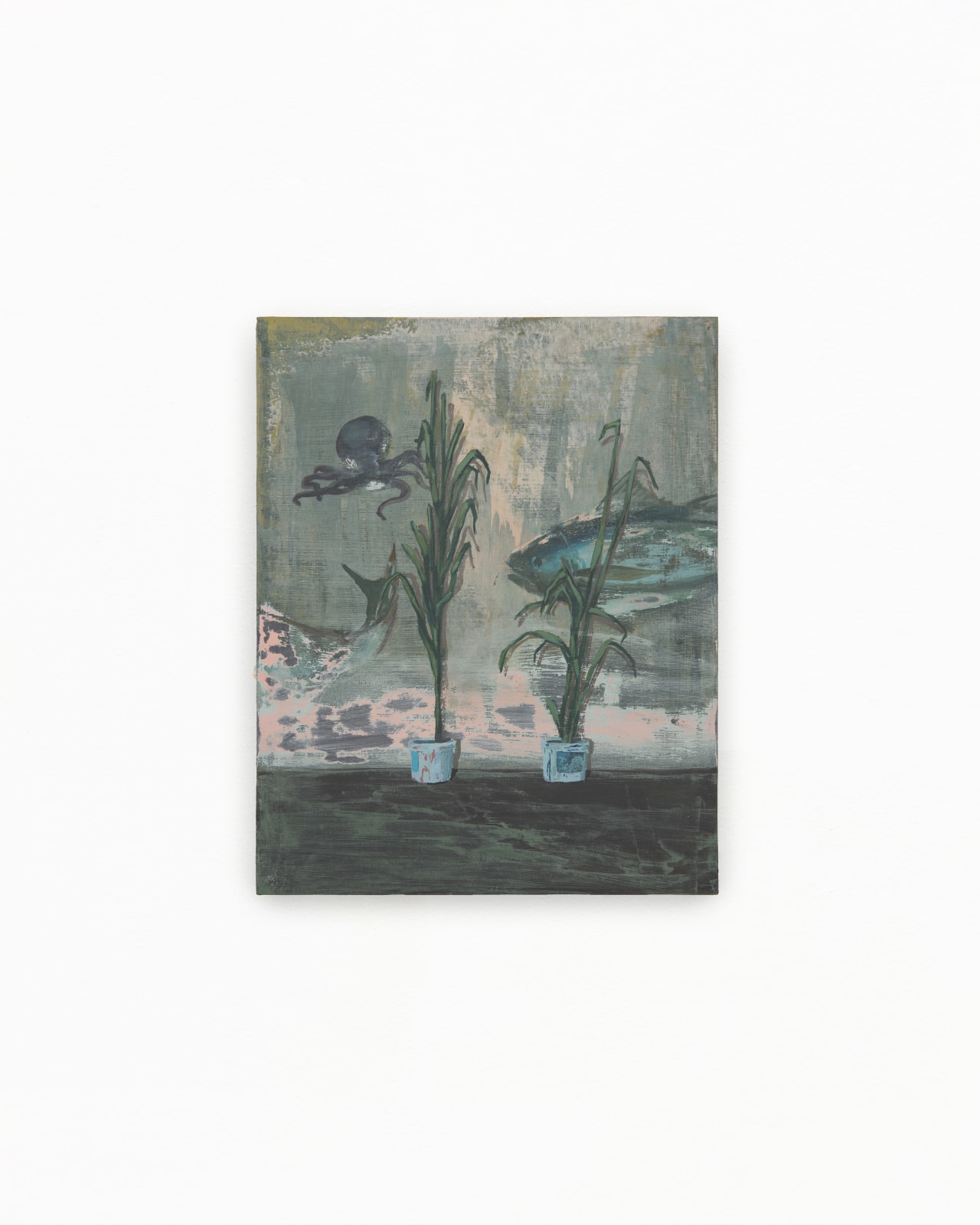 Arturo Kameya, Marianas, 2024