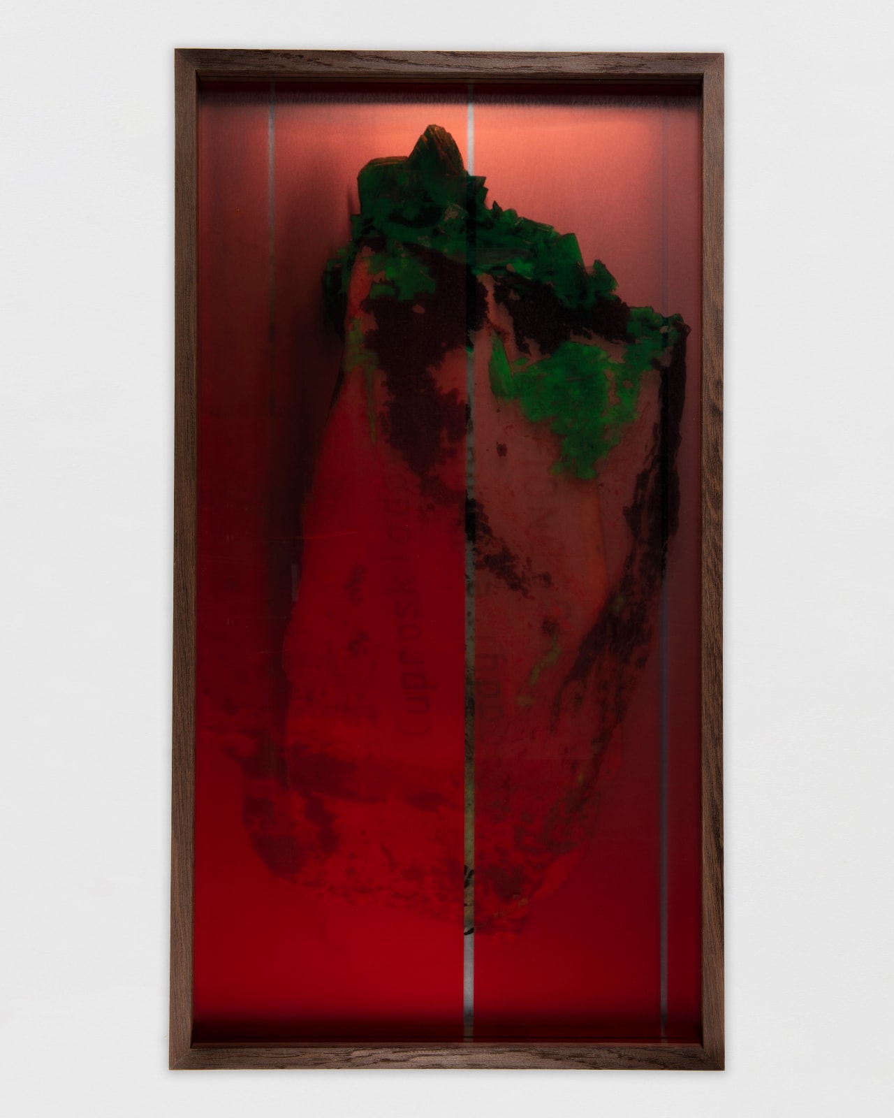 Saskia Noor van Imhoff, Torpor, 2025