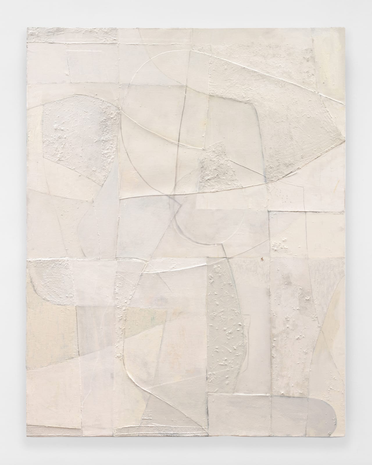 mixed media work depicting interconnected organic shapes