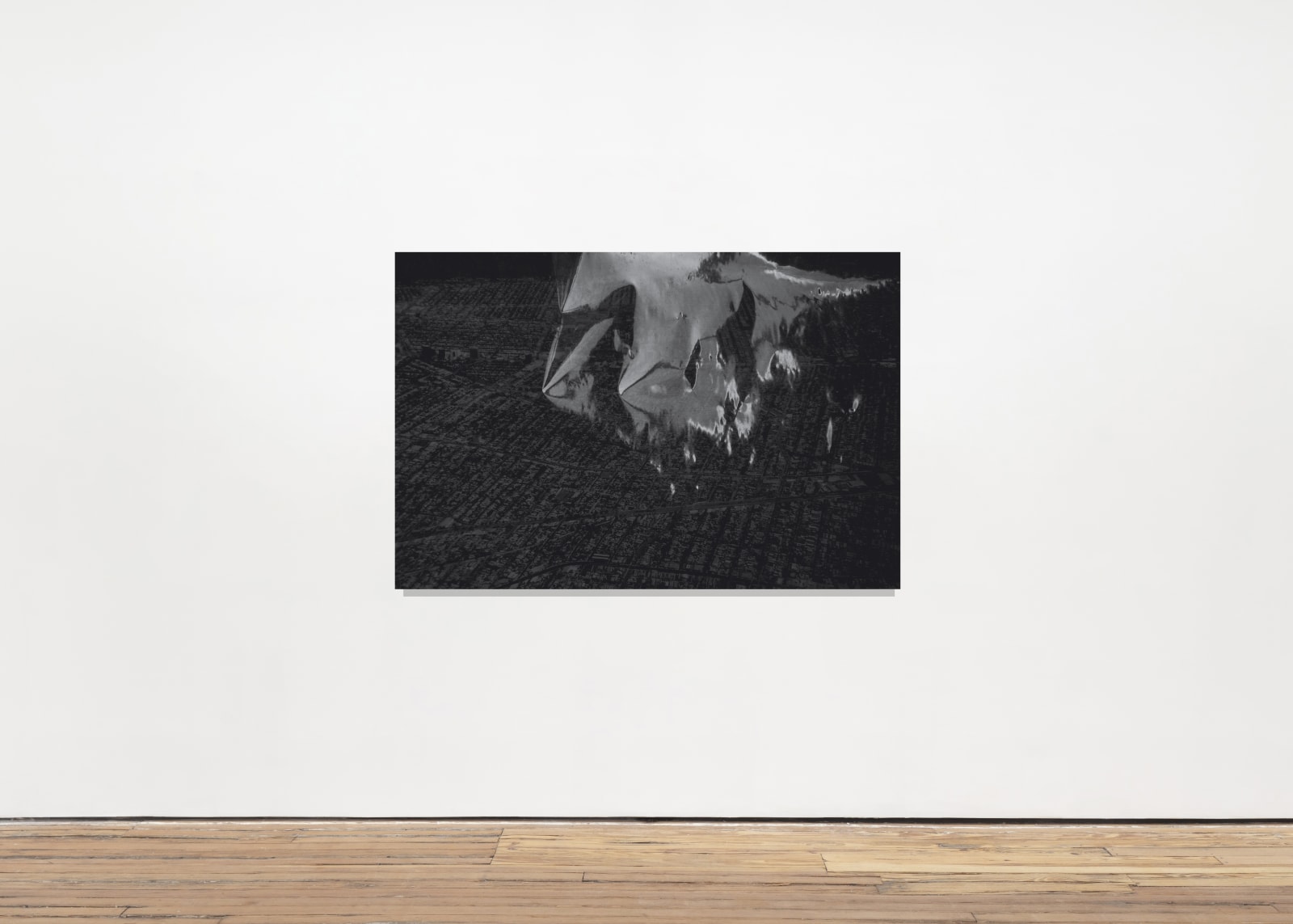 An inkjet print of an unidentifiable shadowy object.