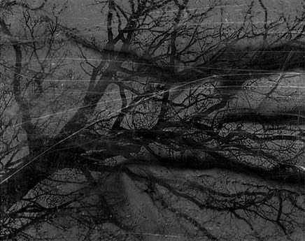 Dirk Braeckman, V.C.-L.M.-24, 2024