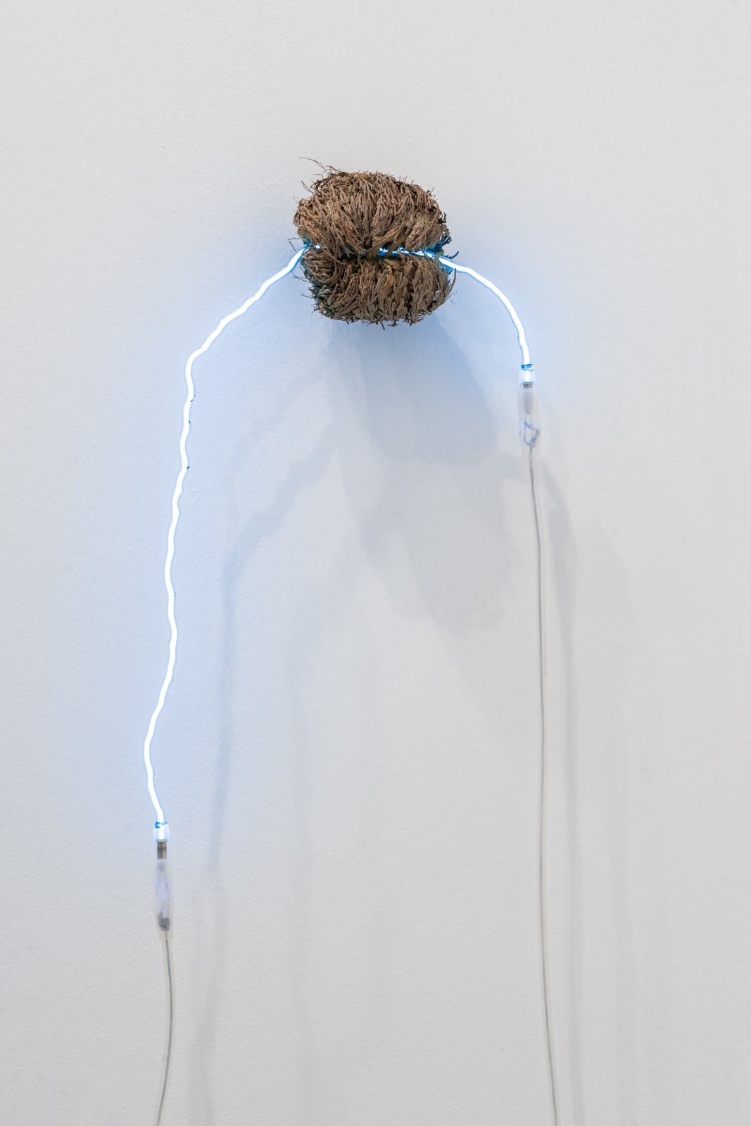 Saskia Noor van Imhoff, green eyes holding hands, 2020