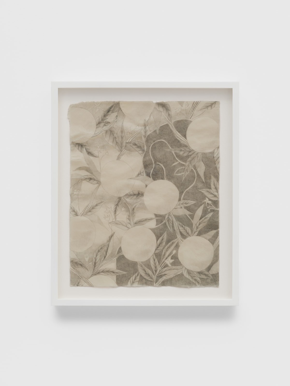 Larysa Myers, Orange blossom, 2025