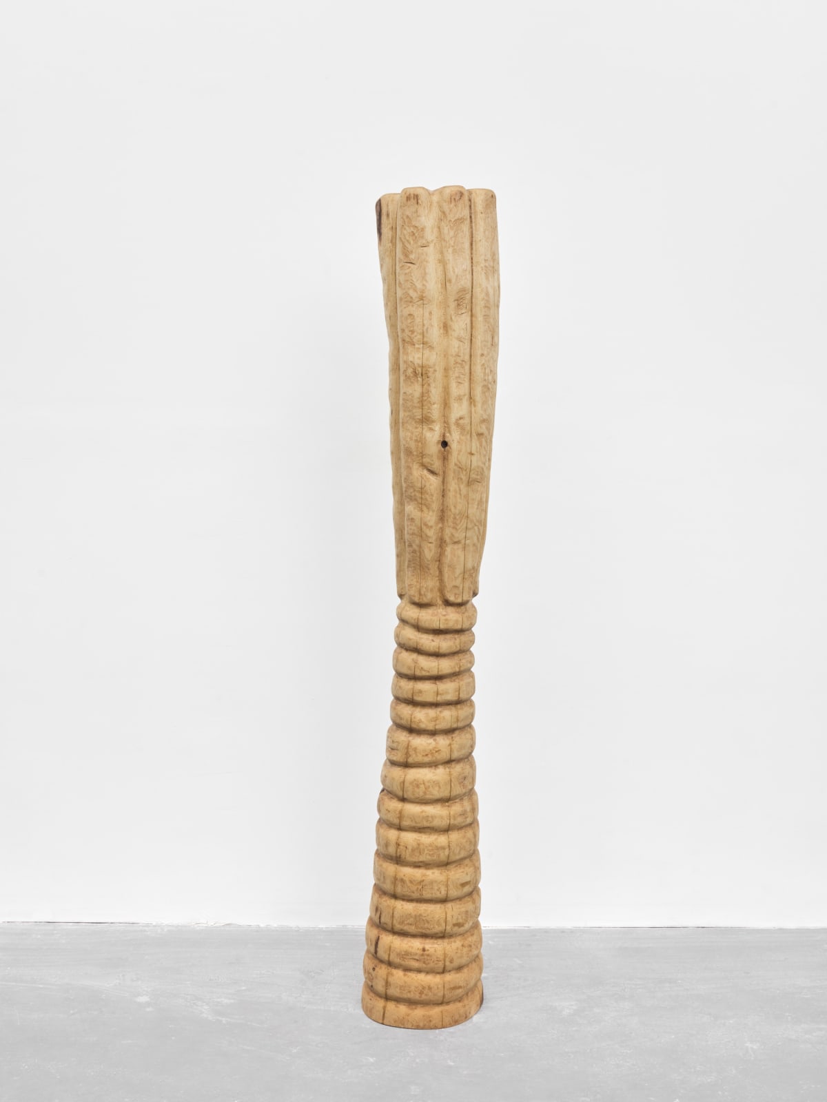 Alicia Adamerovich, shame, 2023