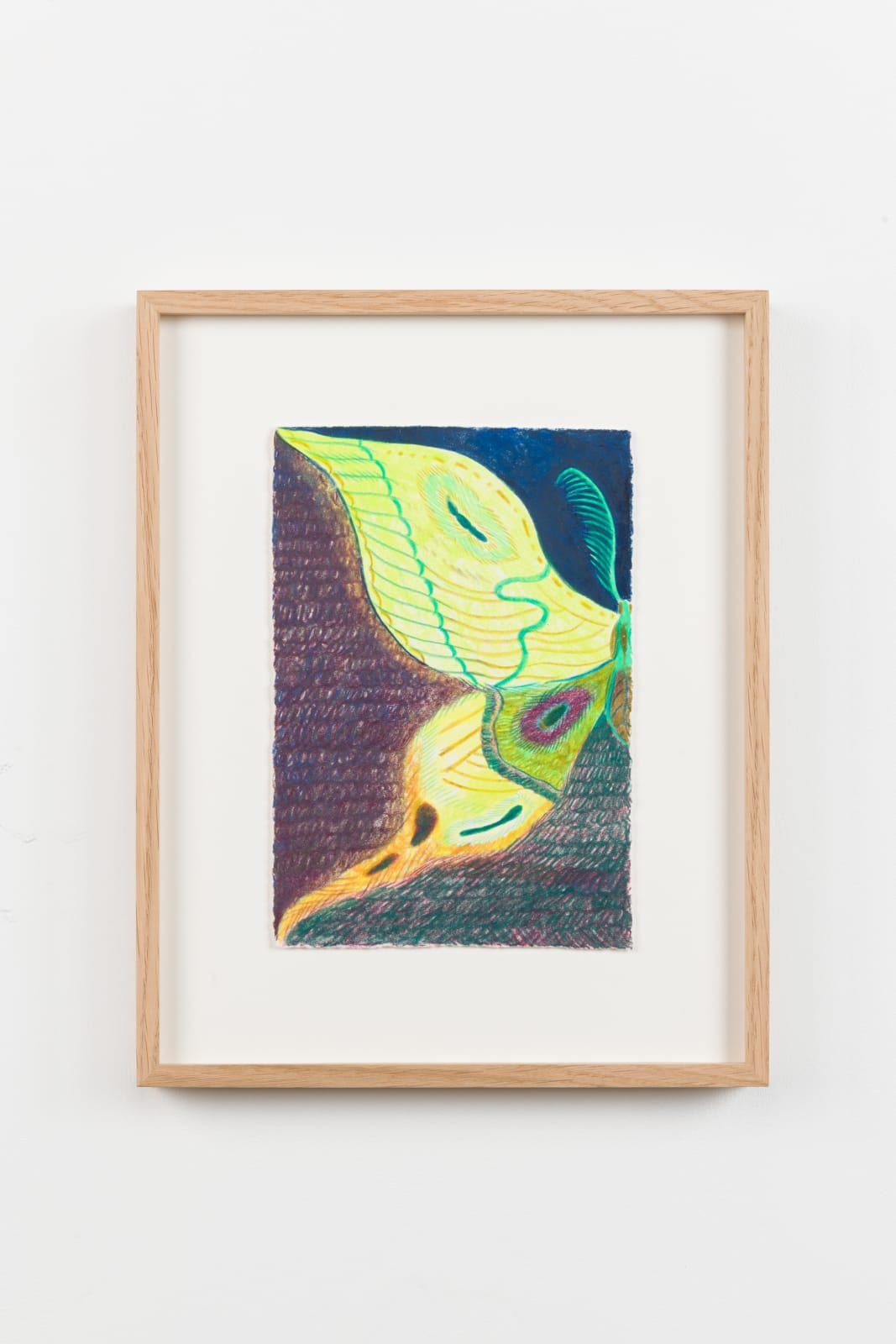 Anthony Cudahy, Moth half, 2022