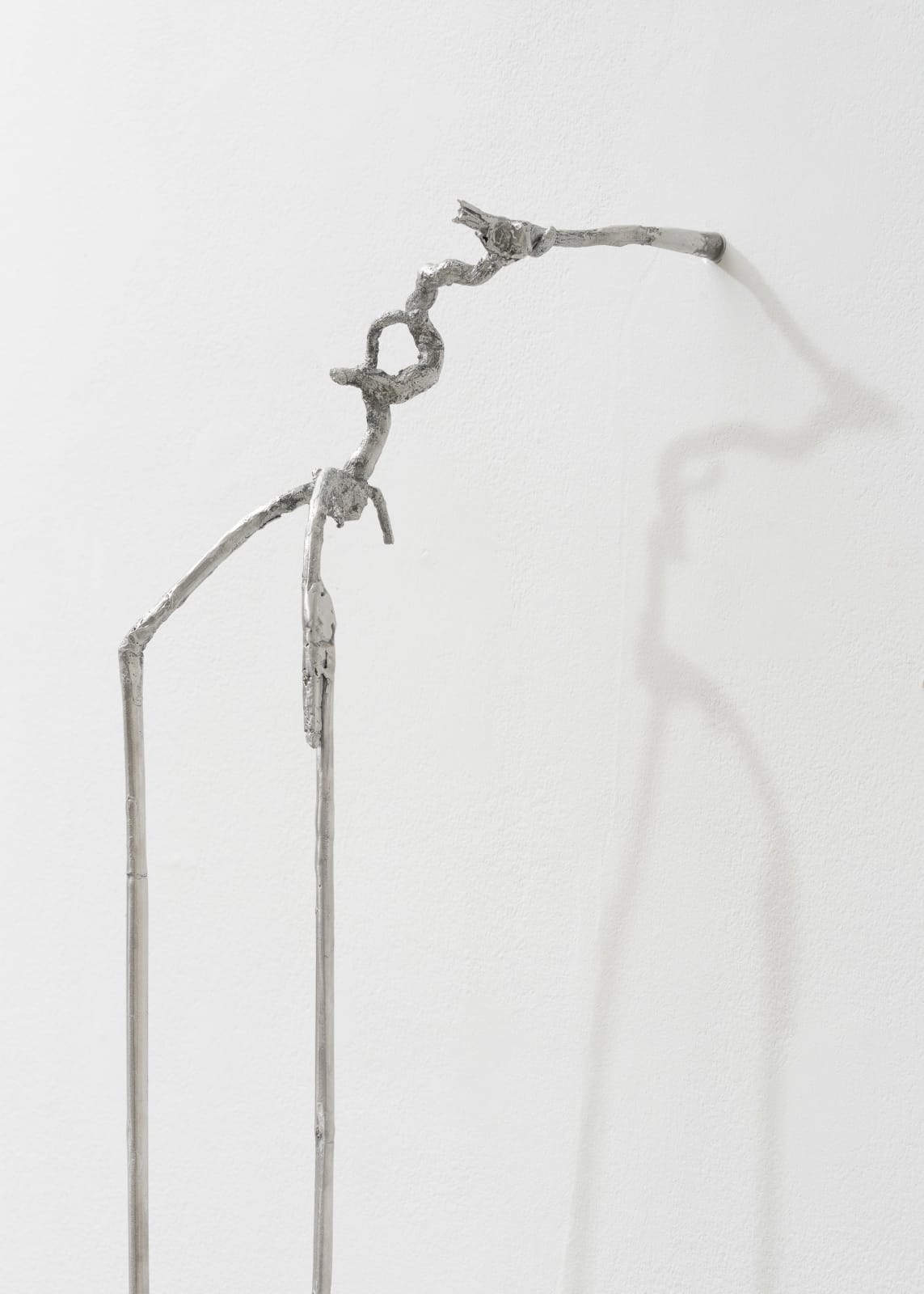 Saskia Noor van Imhoff, Overgrown, 2024