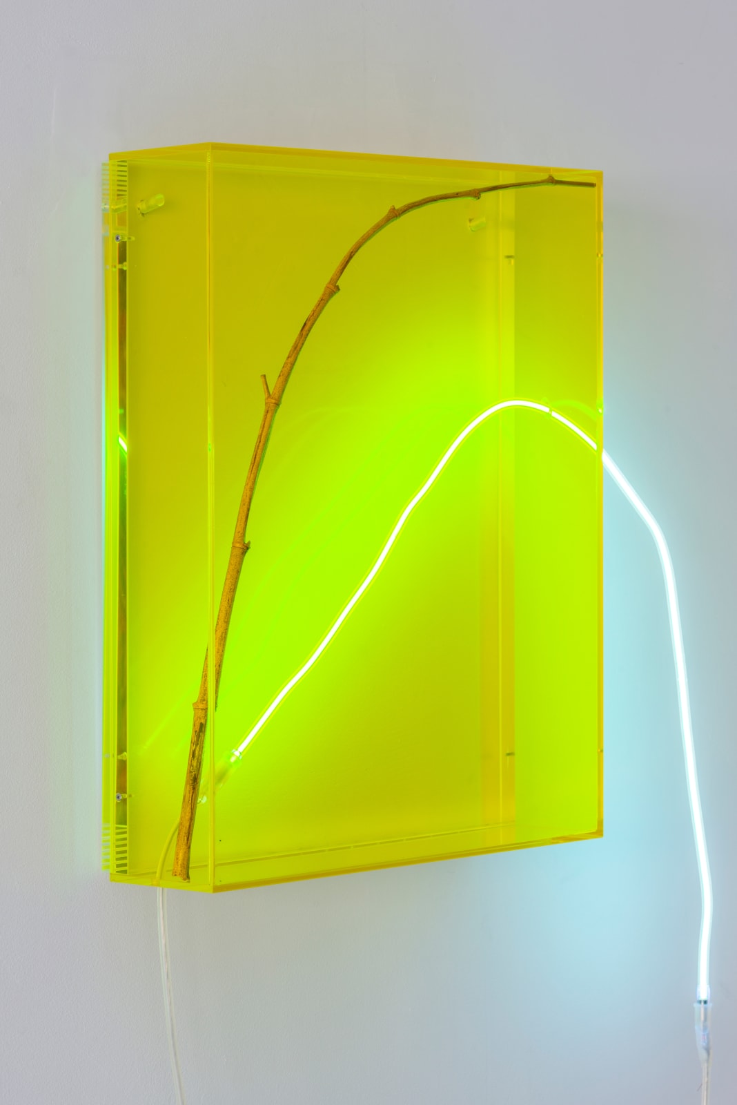 wall mounted sculptural piece consisting of Plexiglass, neon and bamboo twig