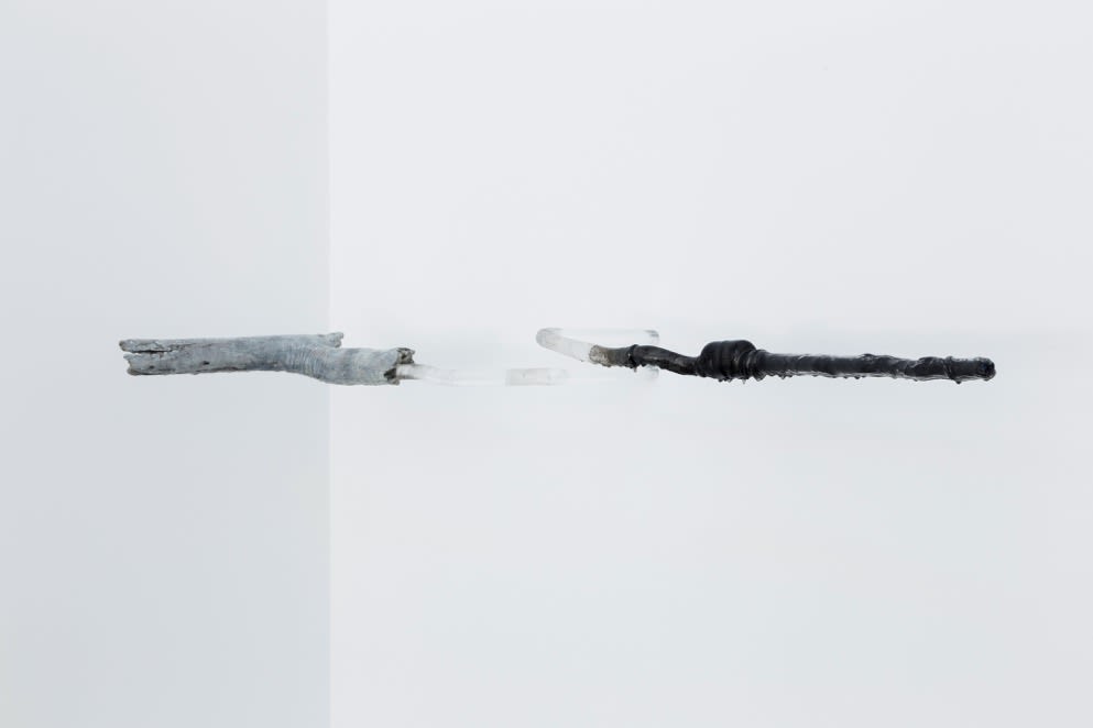 An image of pieces of a tree branch and car hose against a stark white wall.