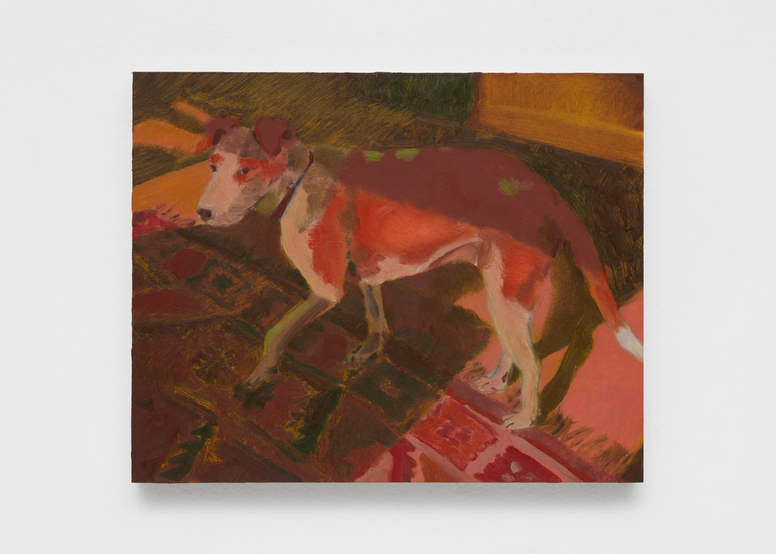 Anthony Cudahy, Seneca in the light, 2024