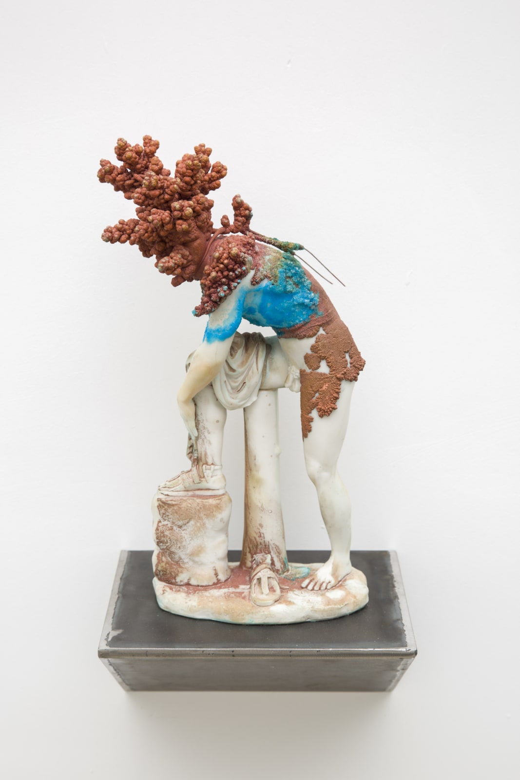 Nick van Woert, North Pond Hermit, 2017