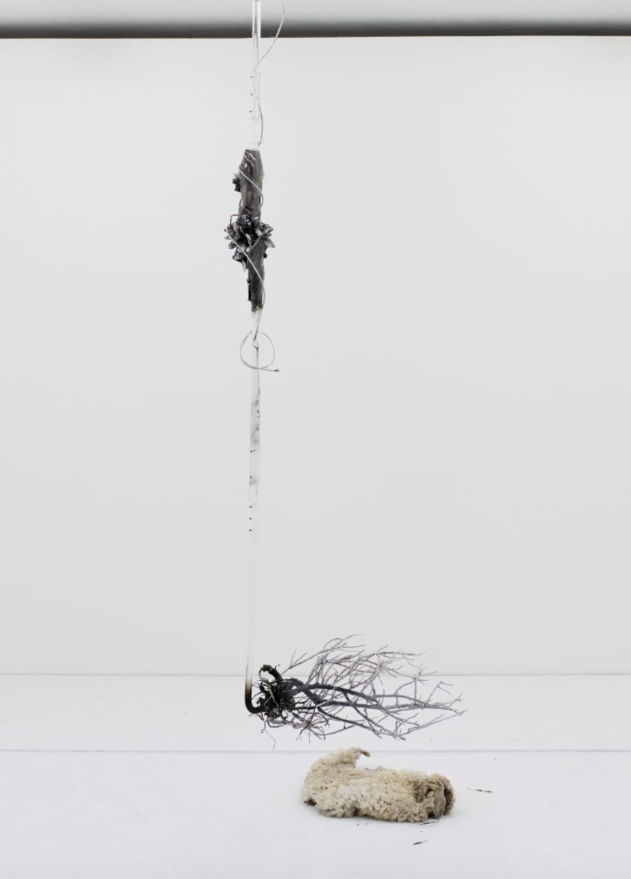 An image of raw sheep skin and roots on a white floor, above them suspends a structure consisting of acrylic tube, fabric, and wire.