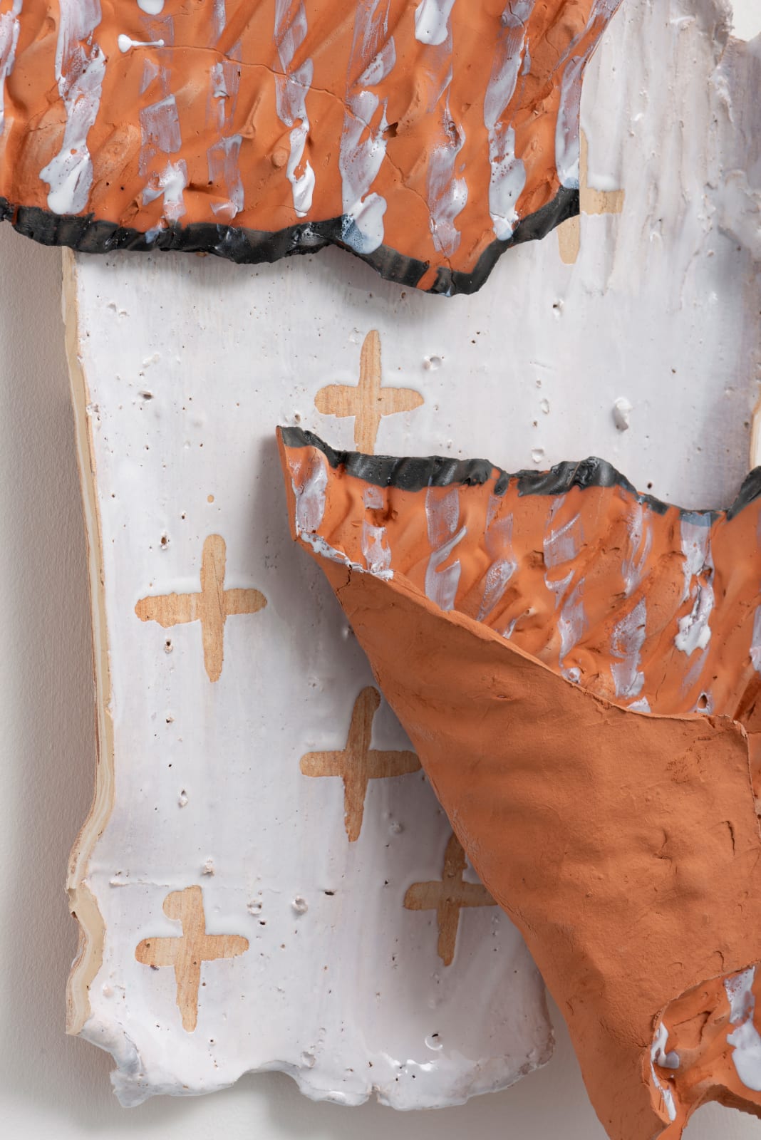 Lucy Skaer, Tame and Divided, 2021