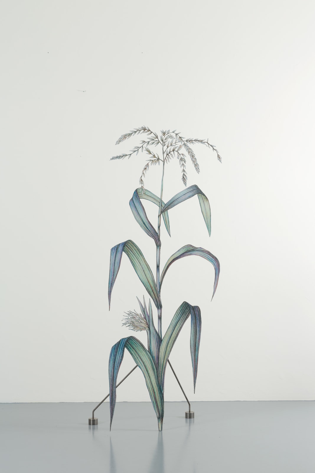 Claudia Martínez Garay, Maíz, 2020