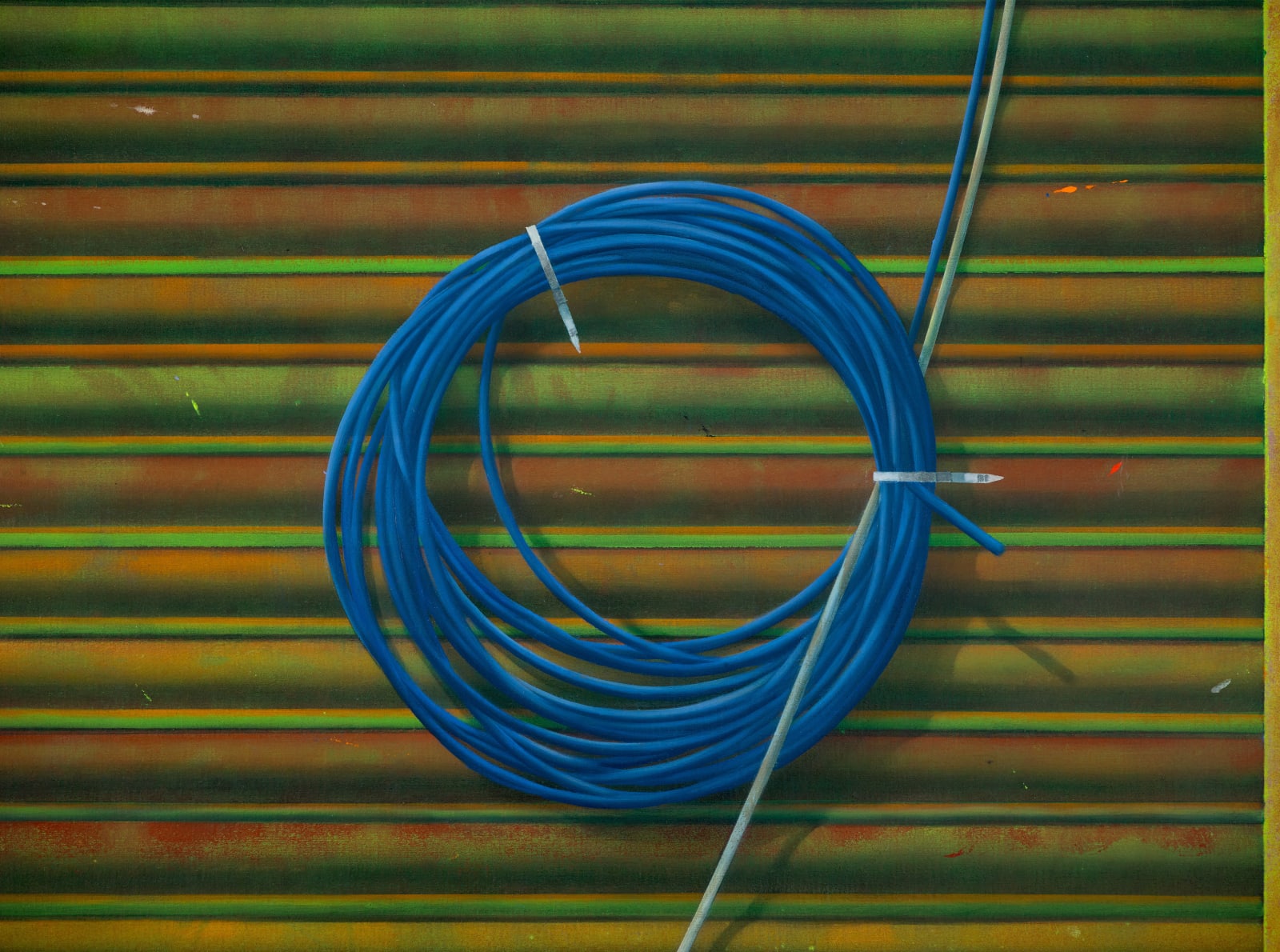 Tommy Harrison, Display II, 2025