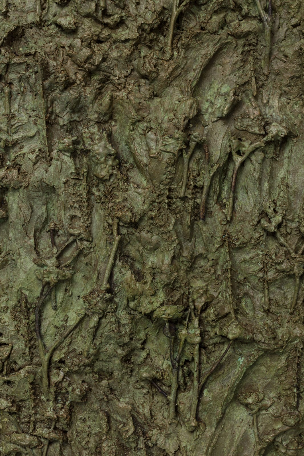 Lucy Skaer, Forest on Fire, 2020