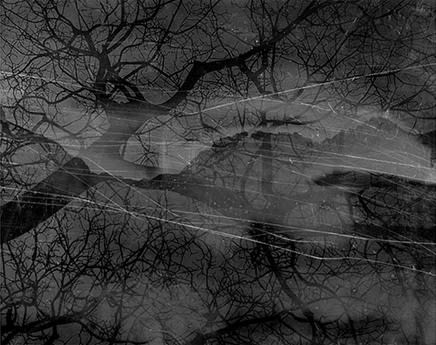 Dirk Braeckman, V.C.-L.M.-24, 2024