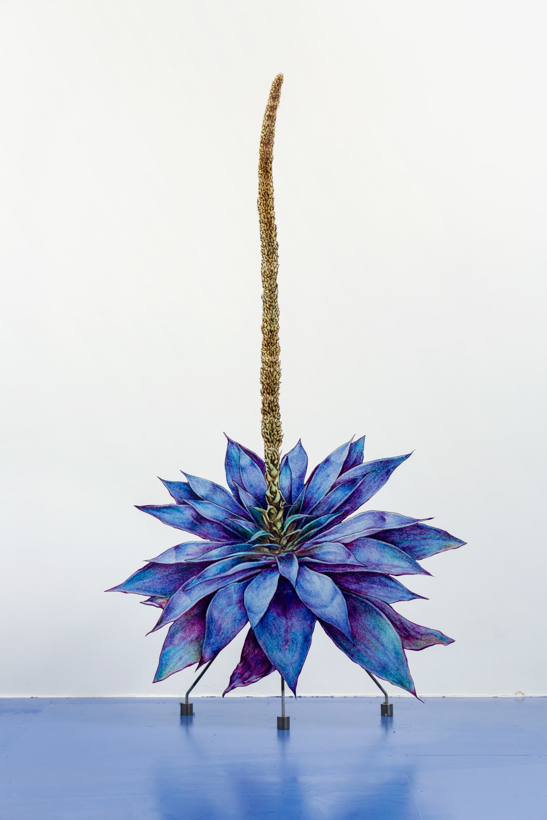 Claudia Martínez Garay, planta azul / blue plant, 2019