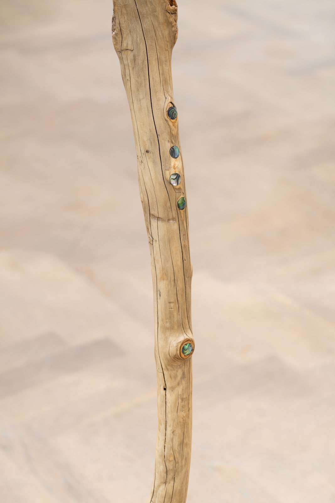 Matthew Day Jackson, Walking stick for Jorg, 2023