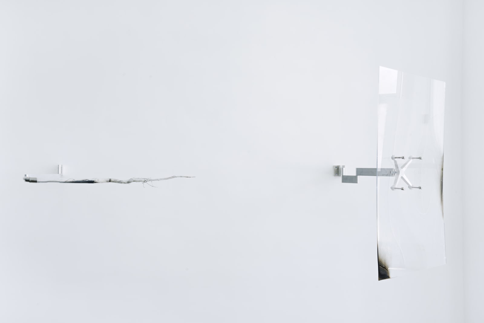 An image of a root covered in aluminum powder and a burned acrylic sheet, both attached to a white wall by aluminum rods.