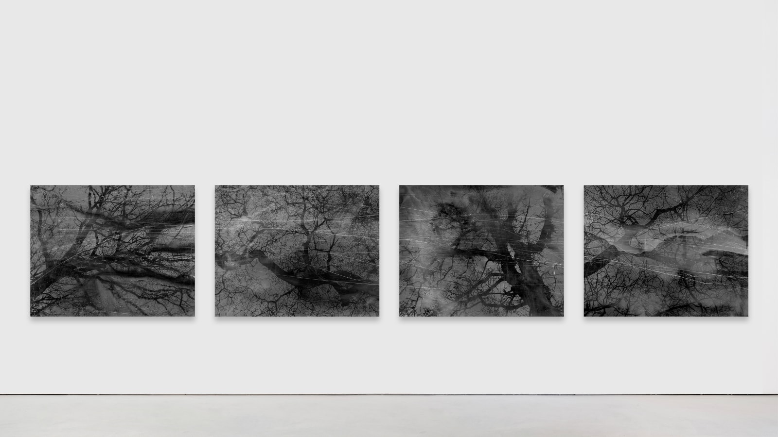 Dirk Braeckman, V.C.-L.M.-24, 2024