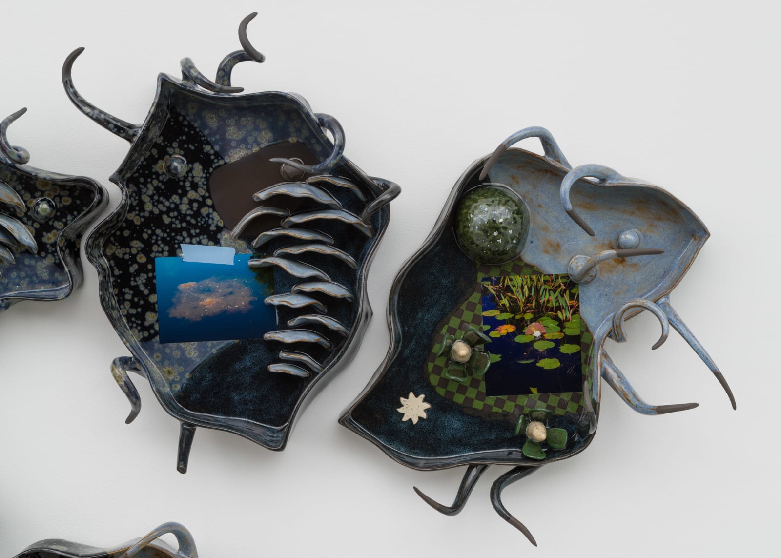 Erin Jane Nelson, Darner Becomer, 2023