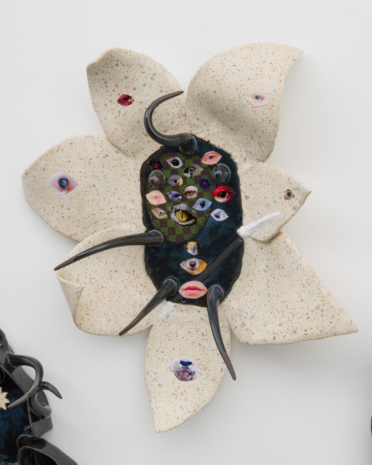 Erin Jane Nelson, Darner Becomer, 2023