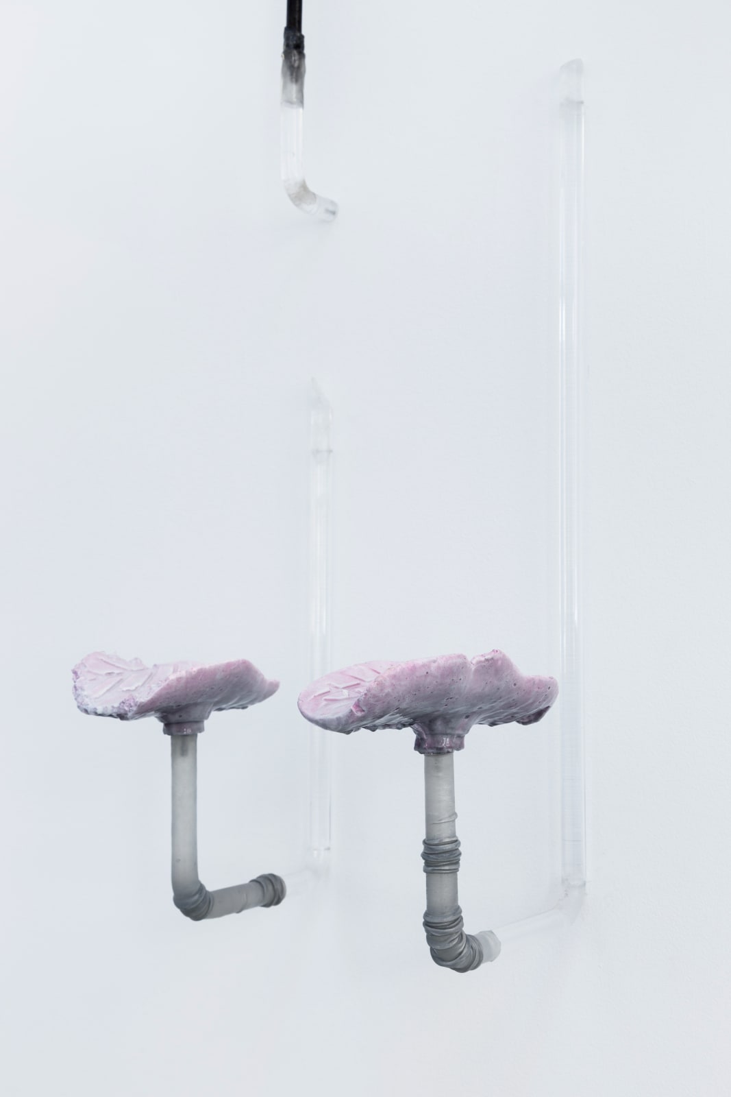 An image of two identical bicycle seat shaped objects made of sea salt, iron sulfide, and silicone against a white wall.