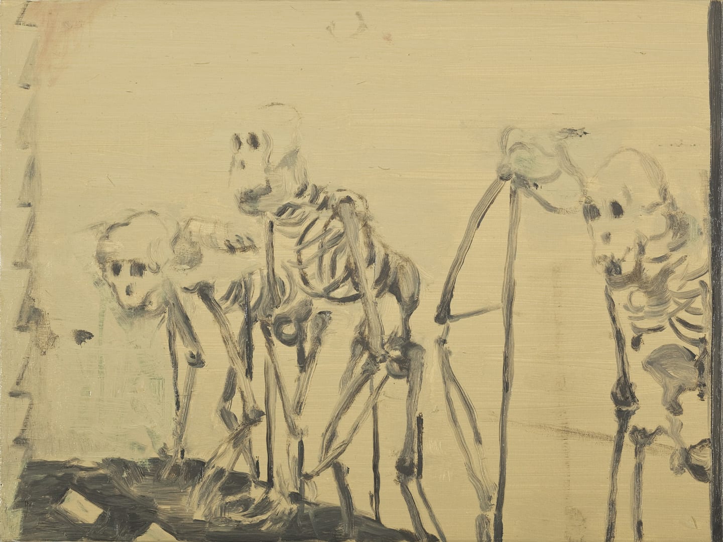 Ciarán Murphy, Museum Display (evening time), 2010