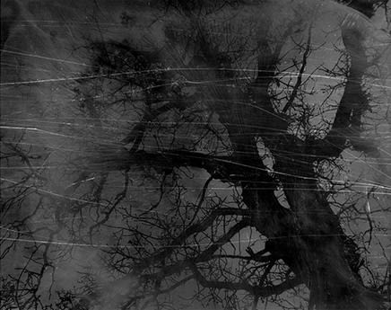 Dirk Braeckman, V.C.-L.M.-24, 2024