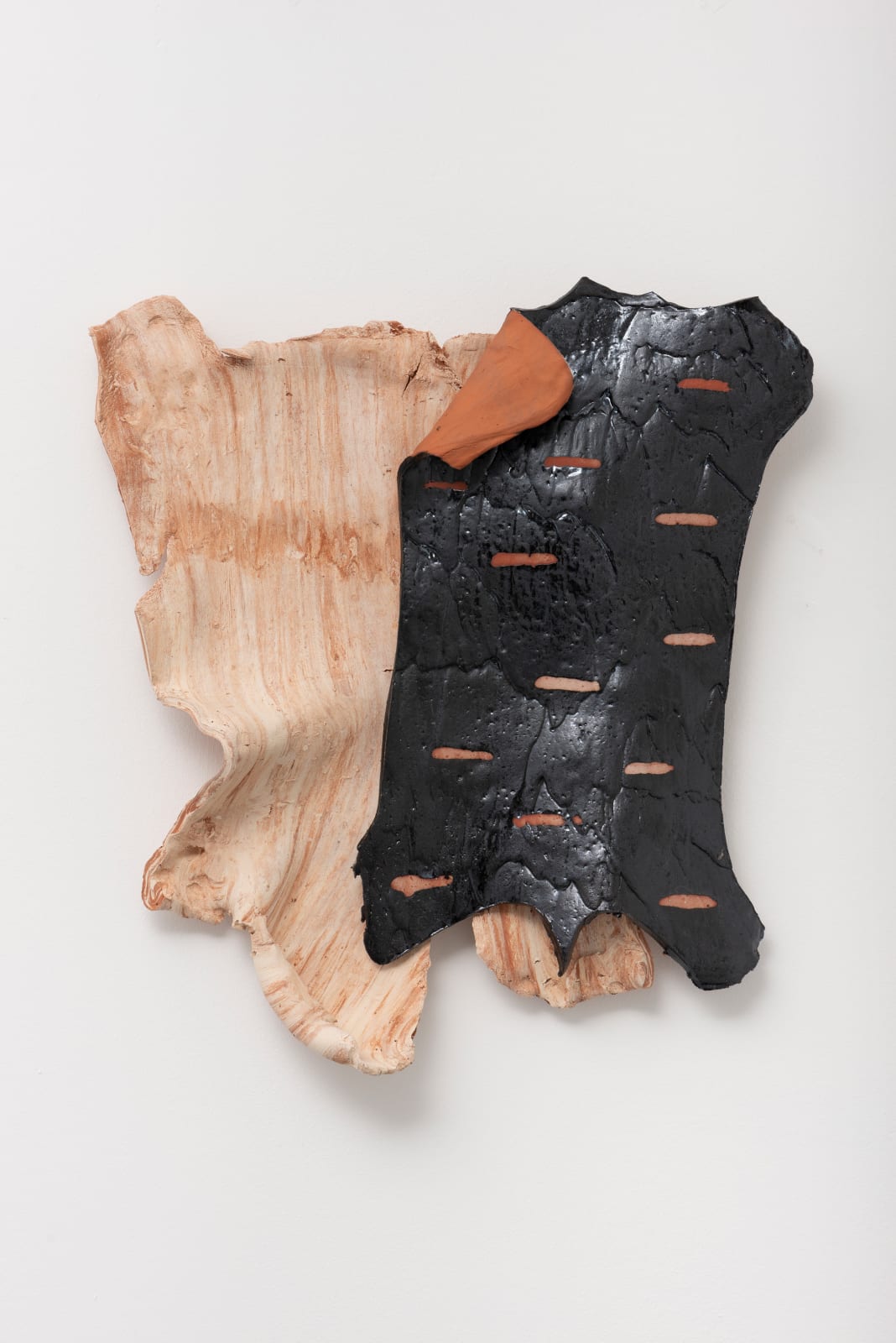 Lucy Skaer, Wild and Afraid, 2021