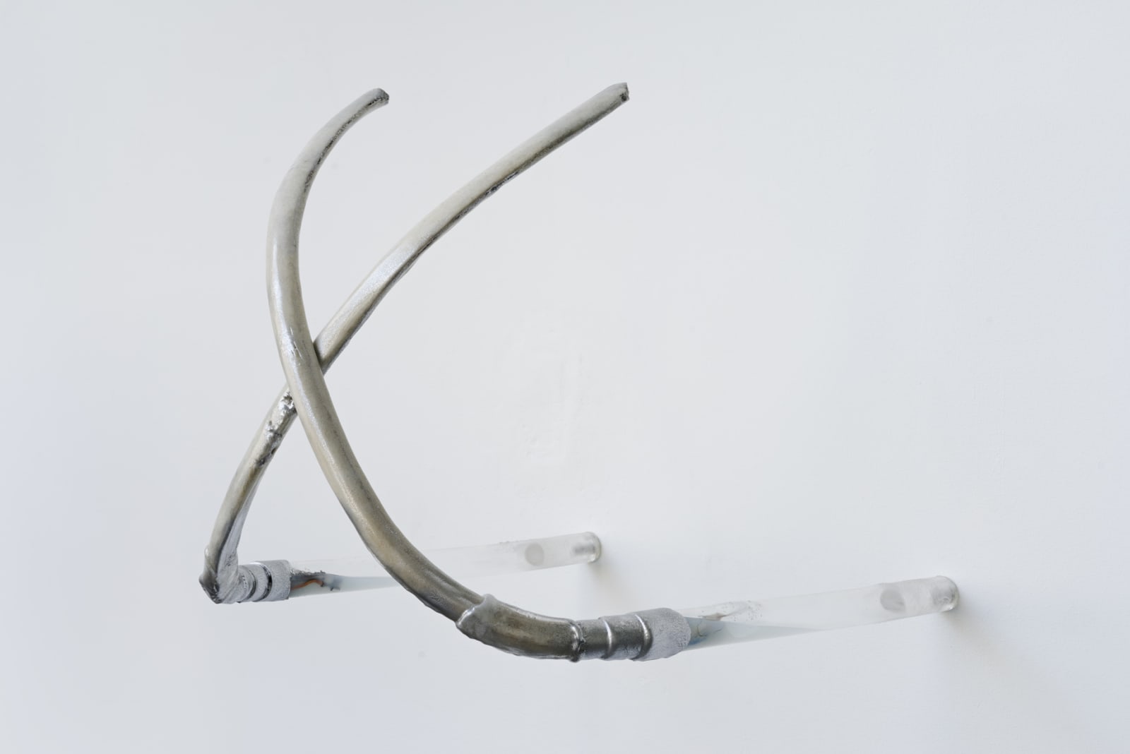 An image of two overlapping horse ribs attached to a white wall by electric cable and silicone tube.