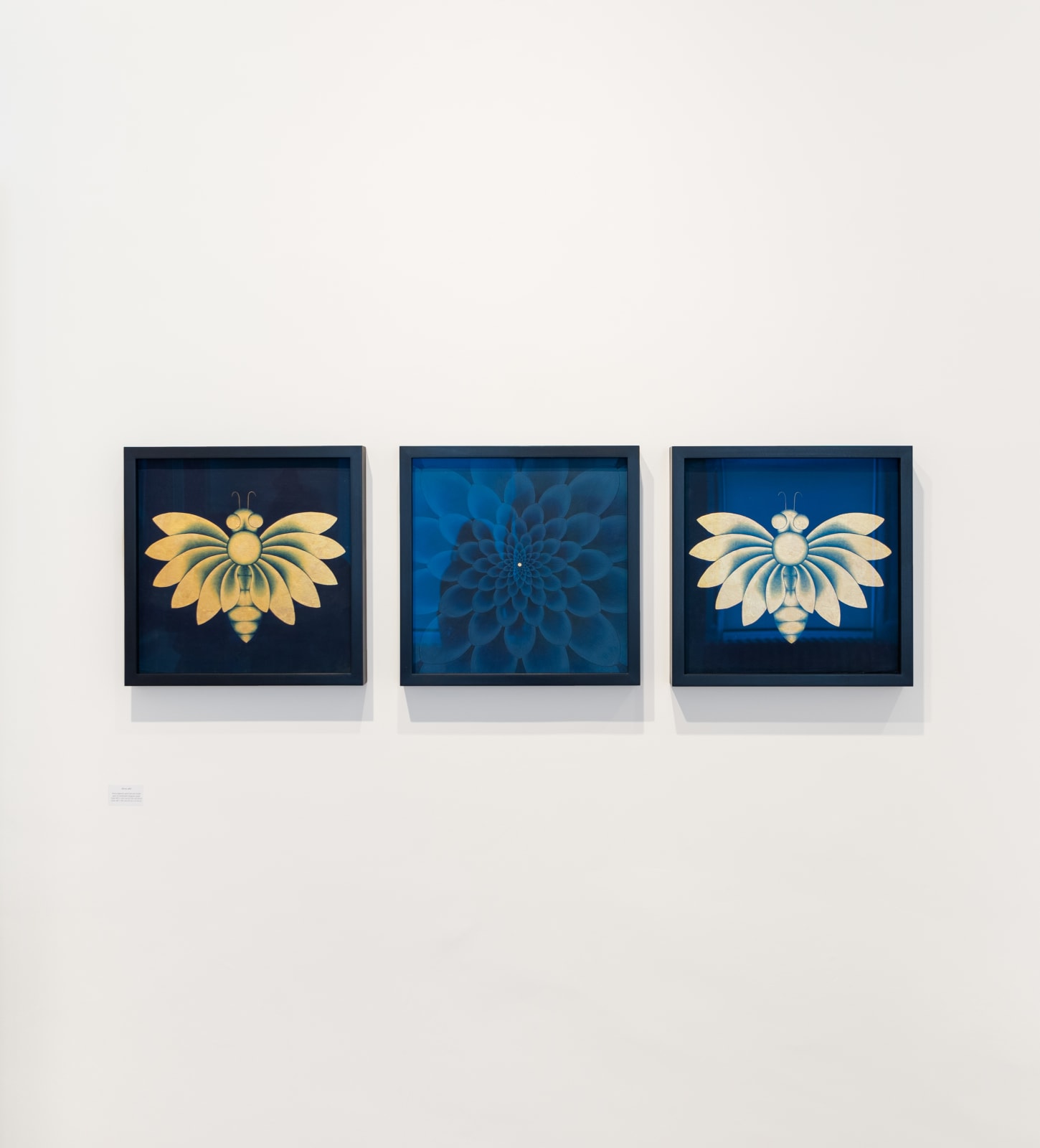 Olivia Fraser, Bloom, 2021