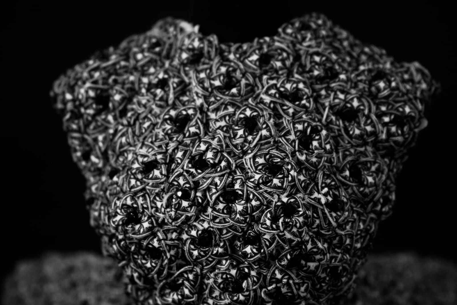 Bushra Waqas Khan, Sub Rosa, 2021