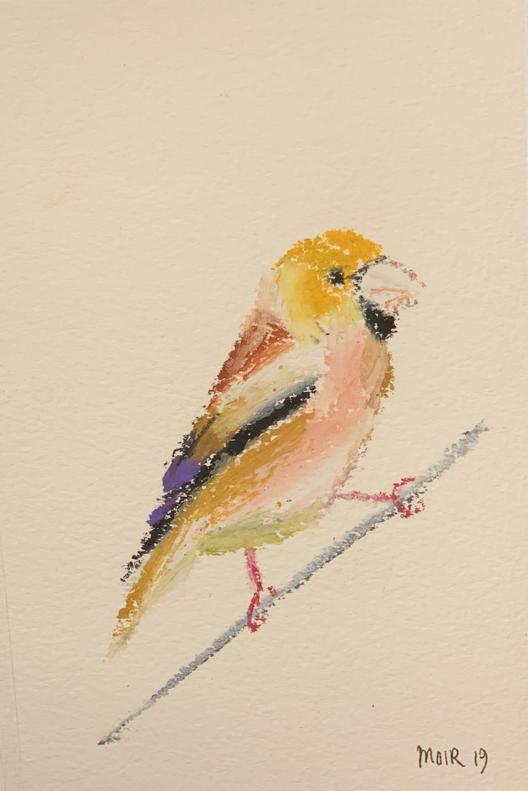Jim Moir, Bird, 2019